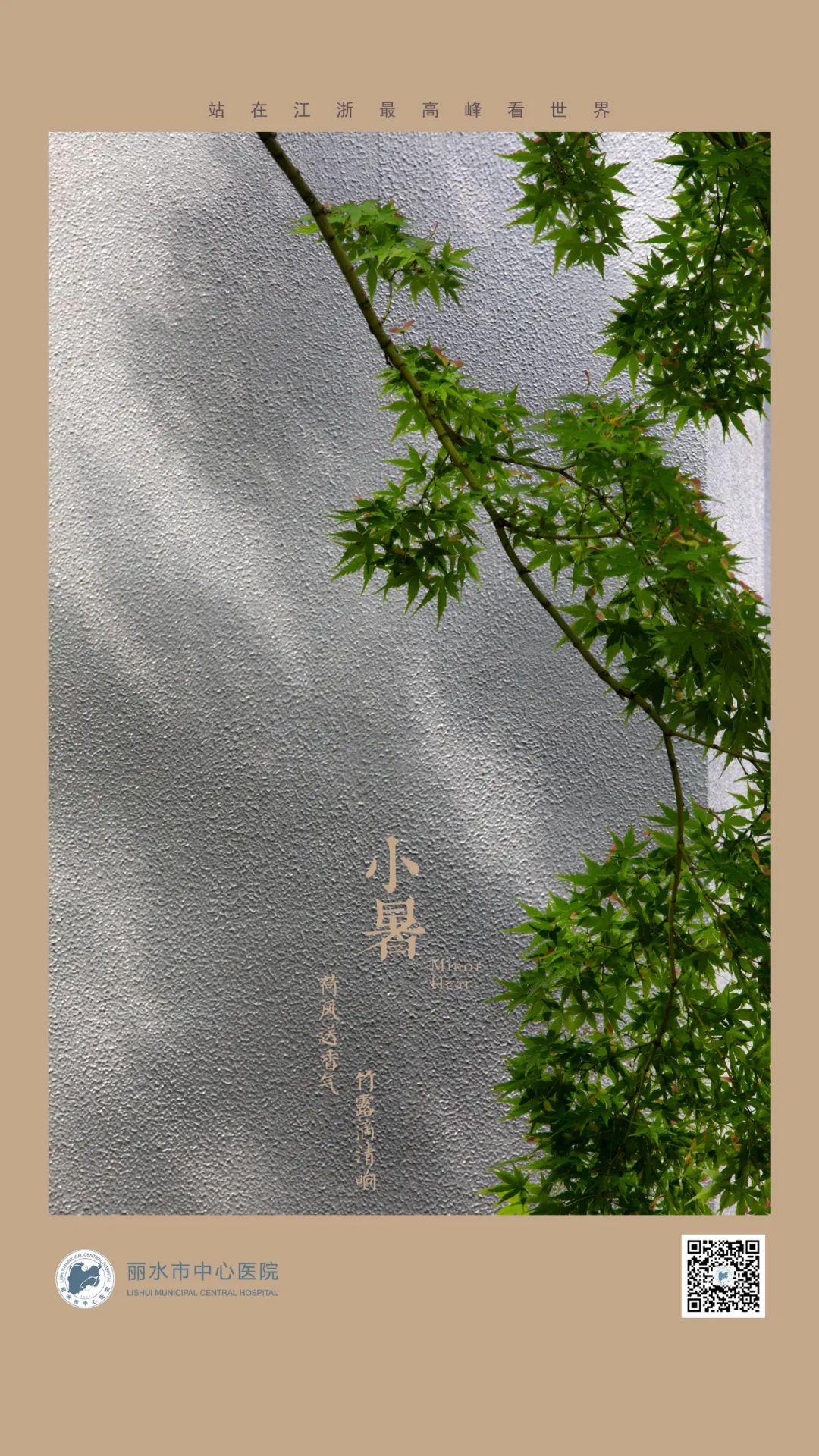 11.24节气-小暑2.jpg