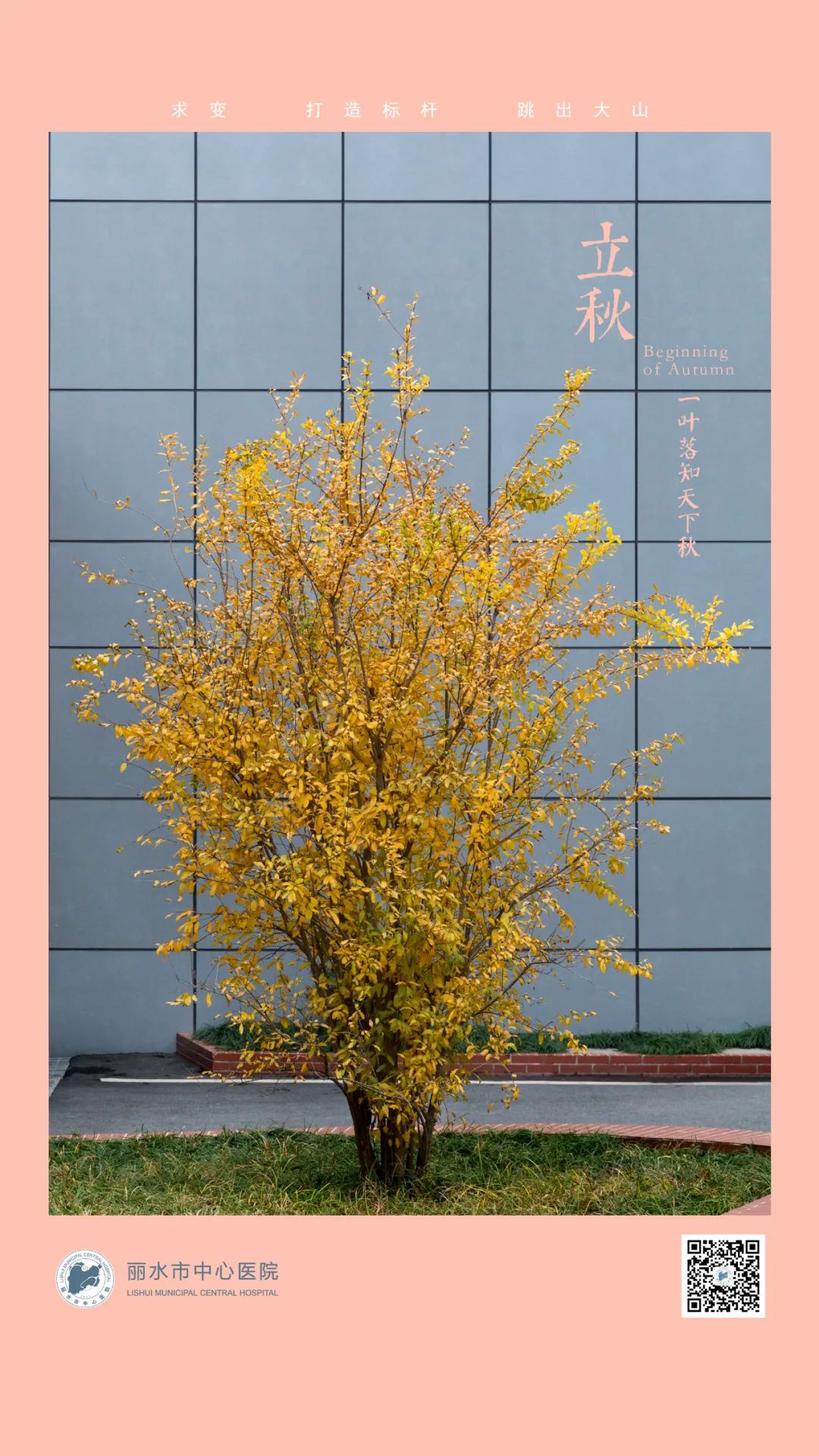 13.24节气-立秋2.jpg