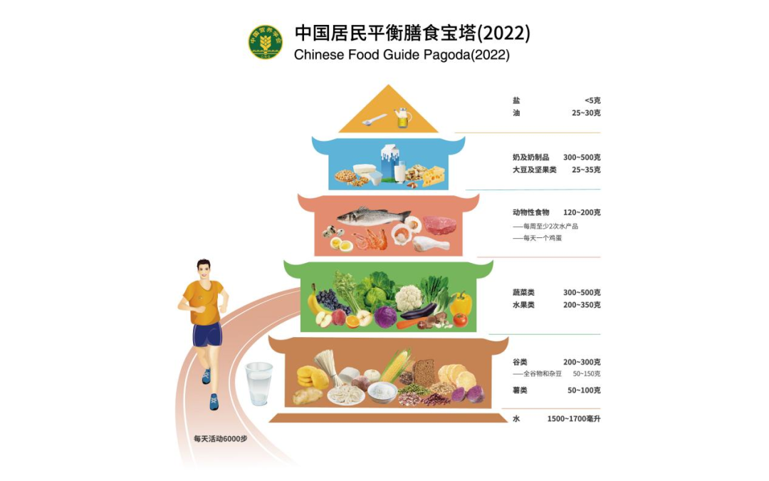 膳食.png