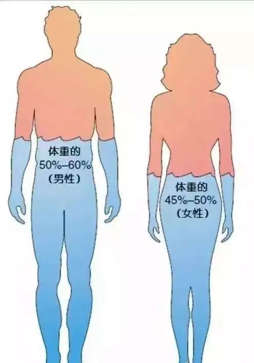 微信图片_20250324101617.jpg