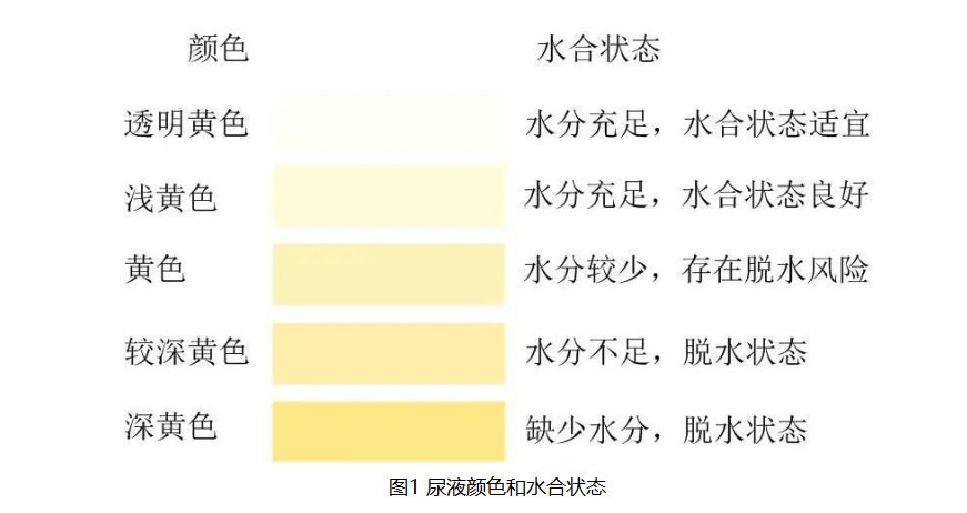 尿色.png