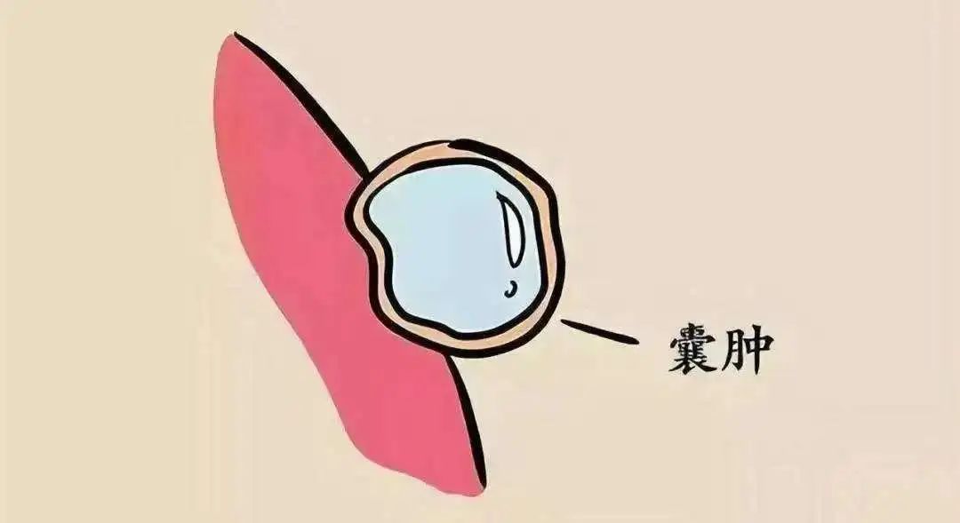 微信图片_20250324150351.jpg