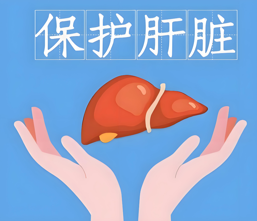 肝.png