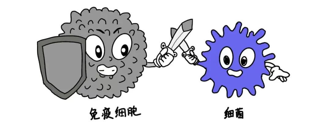 微信图片_20250410150320.jpg